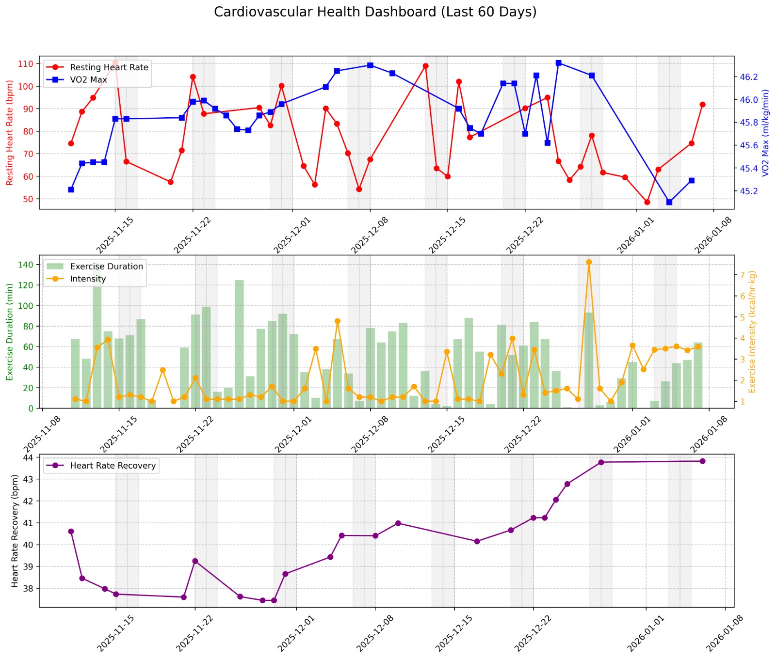 Apple Health Tracker Preview